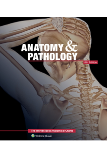 Anatomy & Pathology: The World's Best Anatomical Charts Book - Humanitas