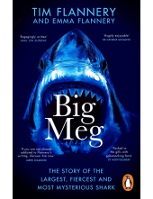 Big Meg - Humanitas