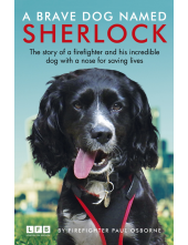 Brave Dog Named Sherlock - Humanitas