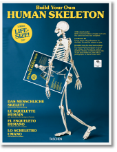 Build Your Own HumanSkeleton - Life Size! - Humanitas