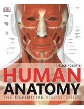 Human Anatomy - Humanitas