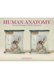 Human Anatomy - Humanitas