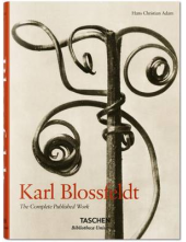 Karl Blossfeldt - Humanitas