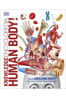 Knowledge Encyclopedia Human Body! - Humanitas