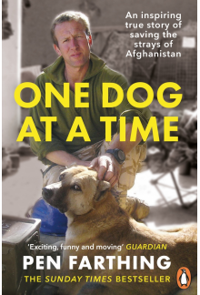 One Dog at a Time - Humanitas