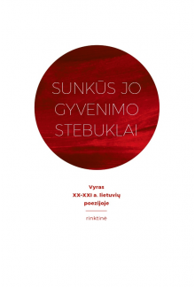 Sunkūs jo gyvenimo stebuklai: vyras XX–XXI a. lietuvių poezijoje - Humanitas