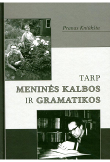 Tarp meninės kalbos ir gramatikos - Humanitas