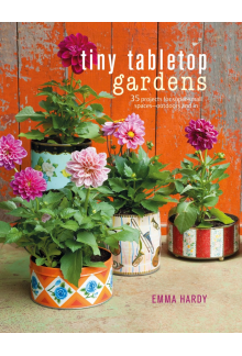 Tiny Tabletop Gardens - Humanitas