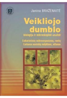 Veikliojo dumblo biologija irmikroskopinė analizė - Humanitas