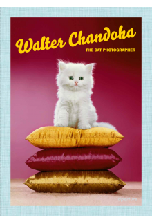 Walter Chandoha:The Cat Photographer - Humanitas