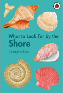 What to Look For by the Shore - Humanitas