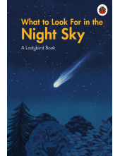 What to Look For in the Night Sky - Humanitas