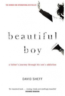 Beautiful Boy: A Father's Journey Through His Son's Addictio - Humanitas