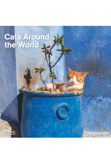 Cats Around the World 2025 30x30 sieninis kalendorius - Humanitas