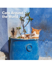 Cats Around the World 2025 30x30 sieninis kalendorius - Humanitas