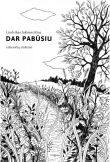 Dar pabūsiu: eilėraščių rinktinė - Humanitas