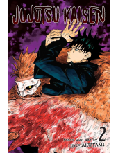 Jujutsu Kaisen Vol. 2:2 - Humanitas