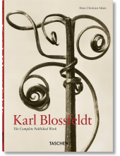 Karl Blossfeldt - Humanitas