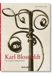 Karl Blossfeldt - Humanitas