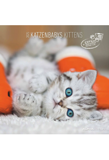 Baby Cats 2025 sieninis kalendorius - Humanitas