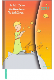 Little Prince 2025 Magneto Diary - Humanitas