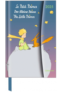 Little Prince 2025 Magneto Diary - Humanitas