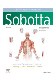 Sobotta Lerntabellen Anatomie Muskeln, Gelenke und Nerven - Humanitas