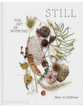 STILL: The Art of Noticing - Humanitas